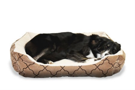 Los regalos para perros más originales