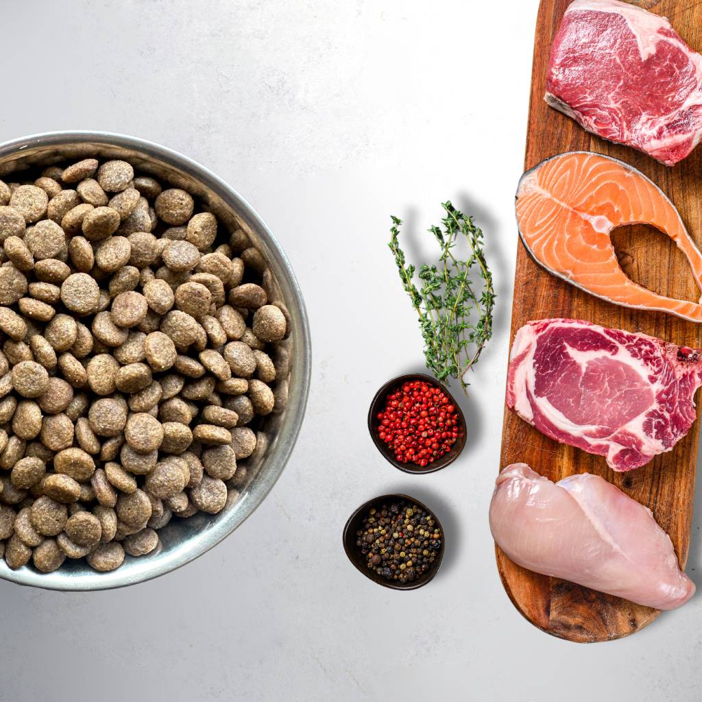 Grain Free Puppy Salmon & Turkey