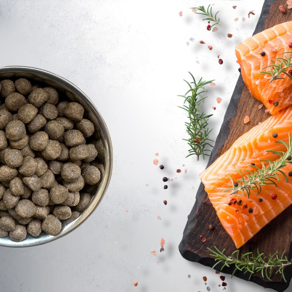 Grain Free Adult Salmon