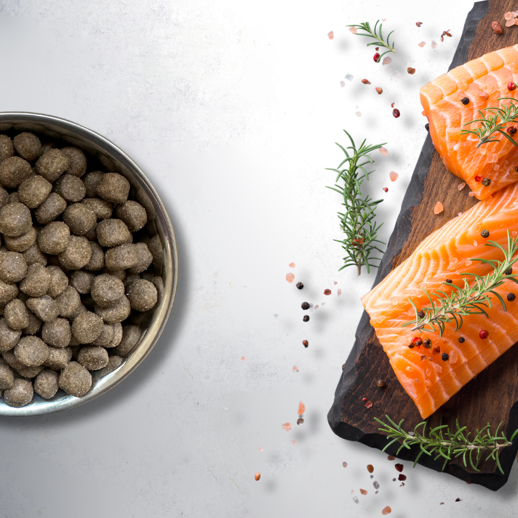 Grain Free Light Salmon