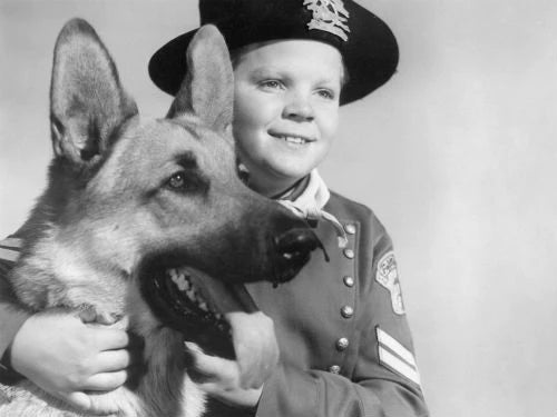 Los perros más famosos de la historia
