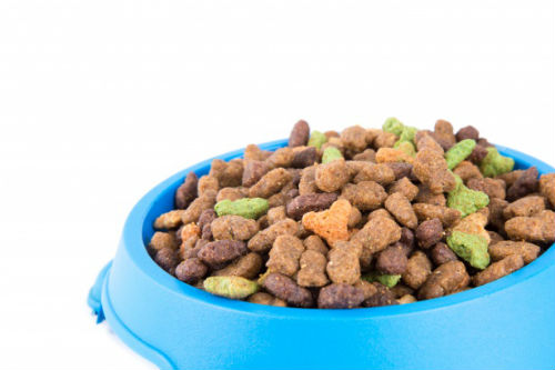 5 pautas de alimentación saludable para tu perro