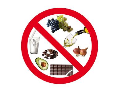 ¡Atención! ¡Alimentos tóxicos para perros!