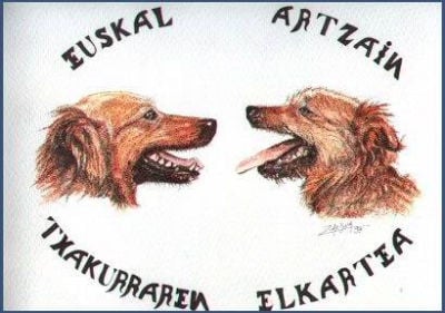 Pastor Vasco o Euskal Artzain Txakurra - Conociendo a esta raza de perros vasca