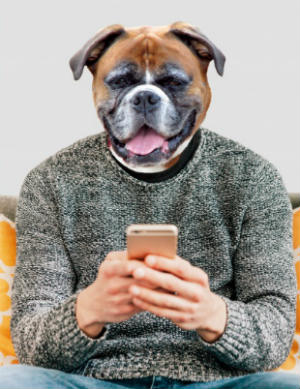 Las mejores aplicaciones móviles para perros