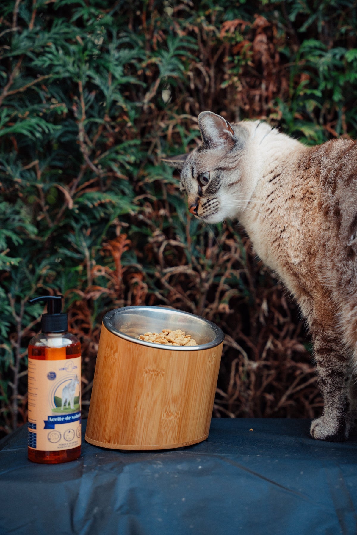 Complementos alimenticios para gatos