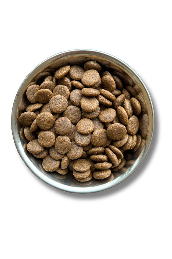 Comida para perros