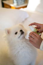 Limpiador de ojos para mascotas "Power Eyes"
