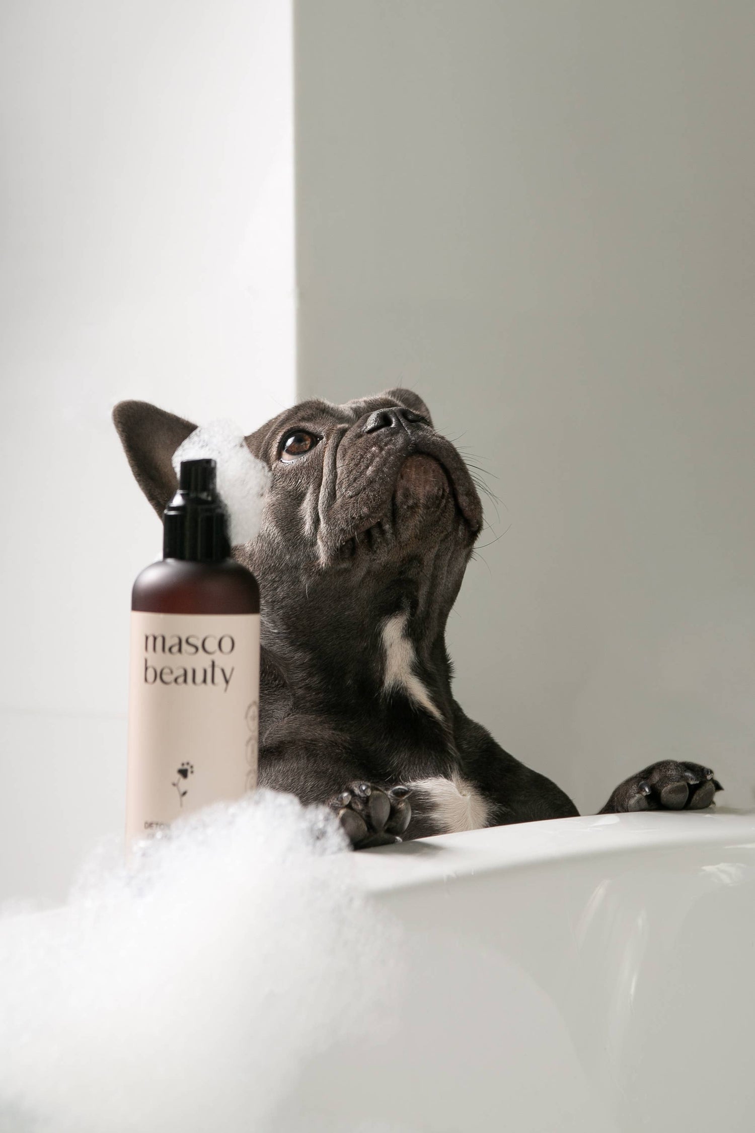 Champú Purificante para Perros – Cuidado Natural para Pieles