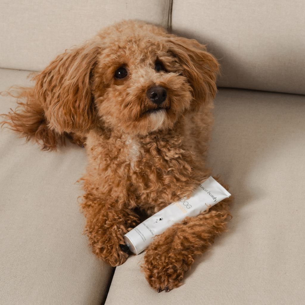 Mousse bálsamo para almohadillas de perros