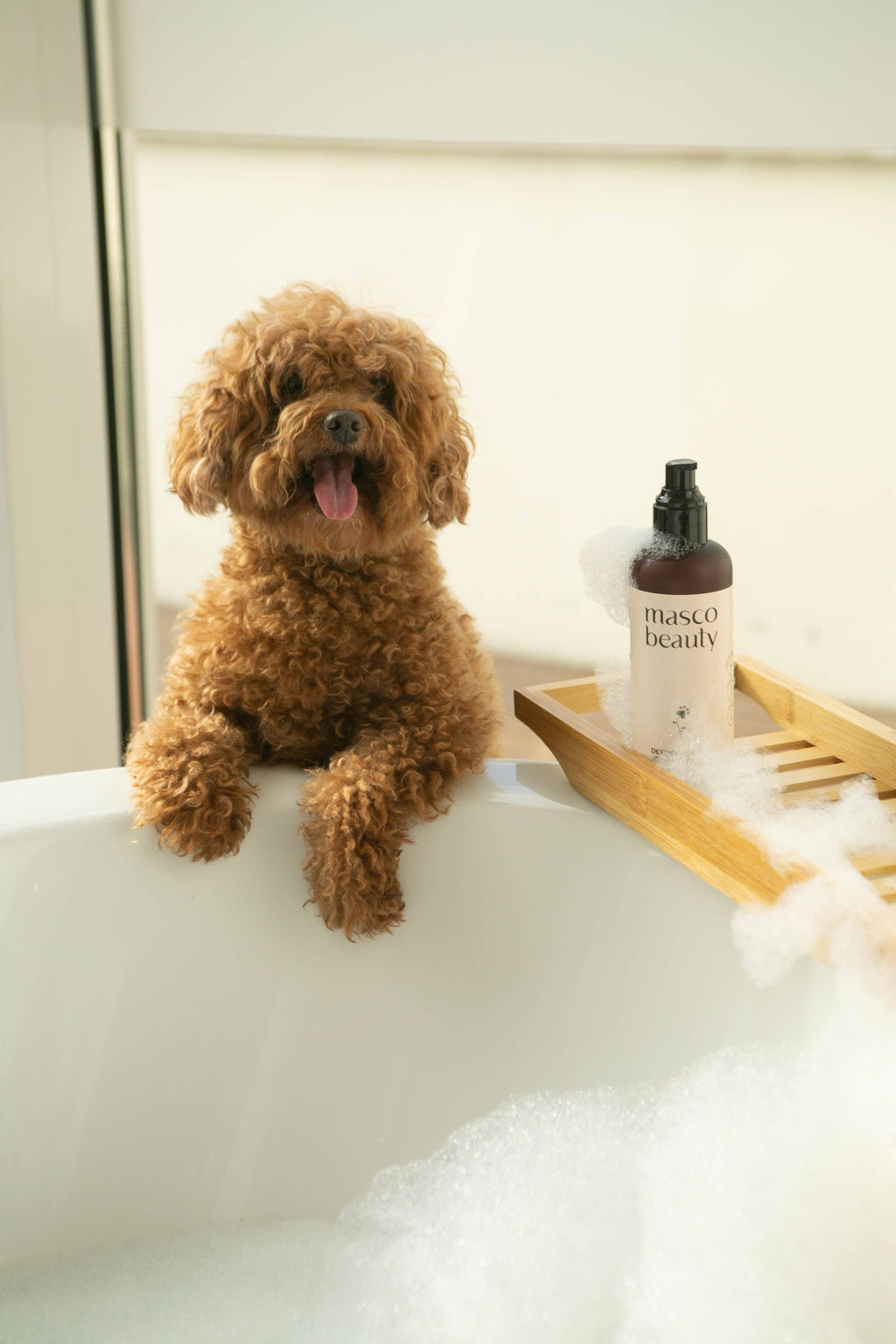 Champú Purificante para Perros – Cuidado Natural para Pieles