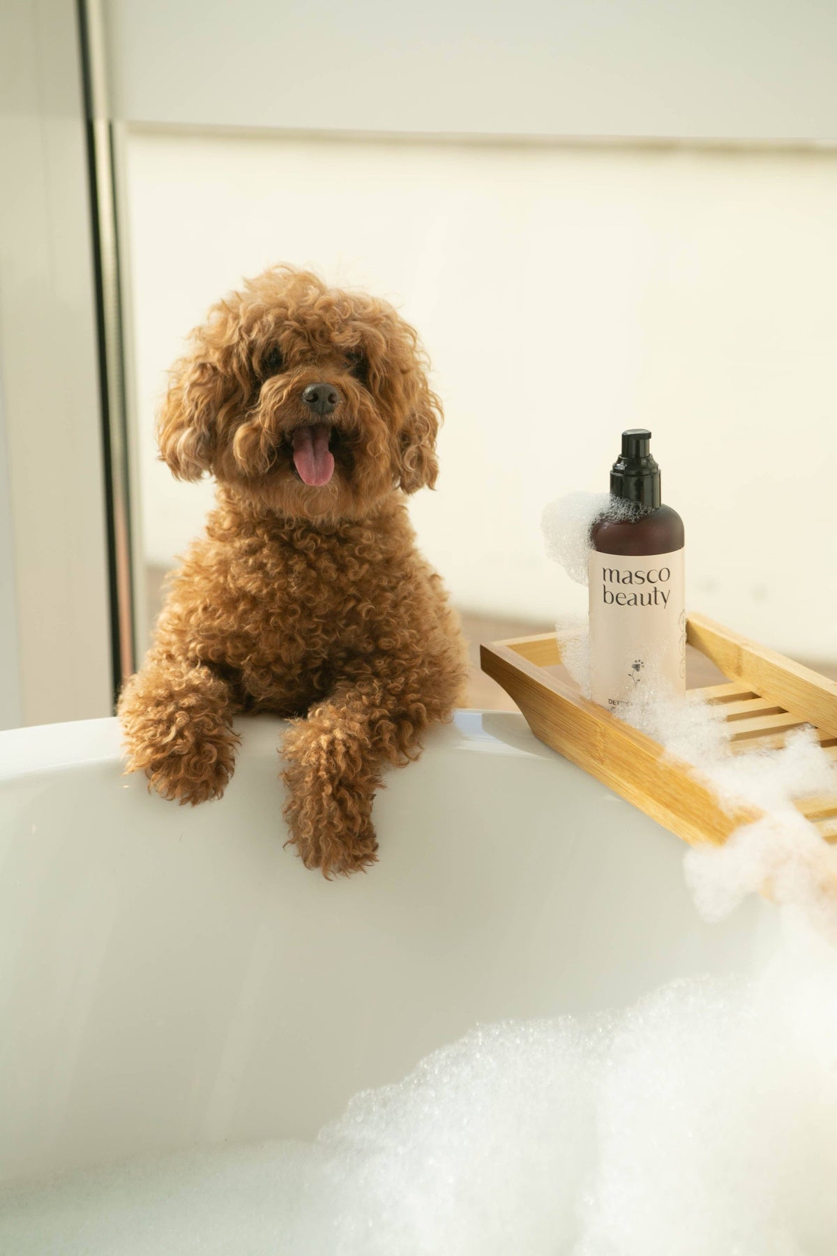 Champú Purificante para Perros – Cuidado Natural para Pieles
