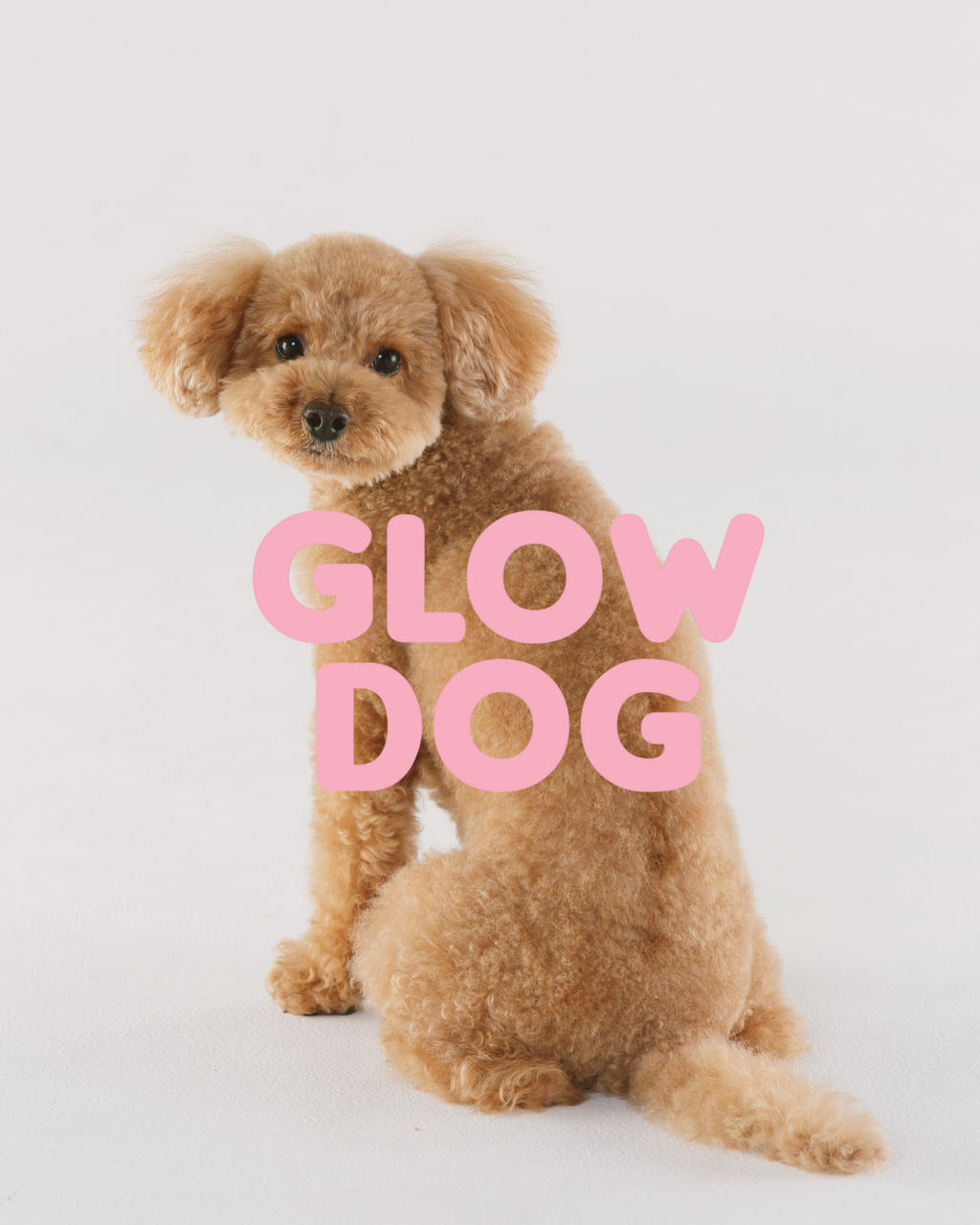 Glow Dog – Champú Vitaminado 2 en 1 para Perros