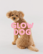 Glow Dog – Champú Vitaminado 2 en 1 para Perros
