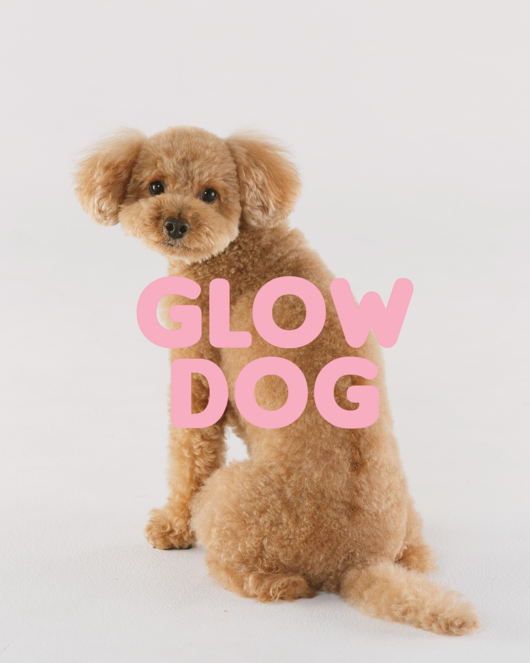 Glow Dog – Champú Vitaminado 2 en 1 para Perros