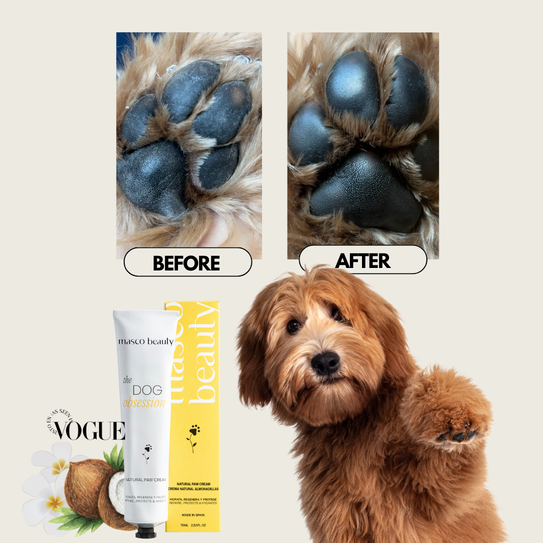Mousse bálsamo para almohadillas de perros