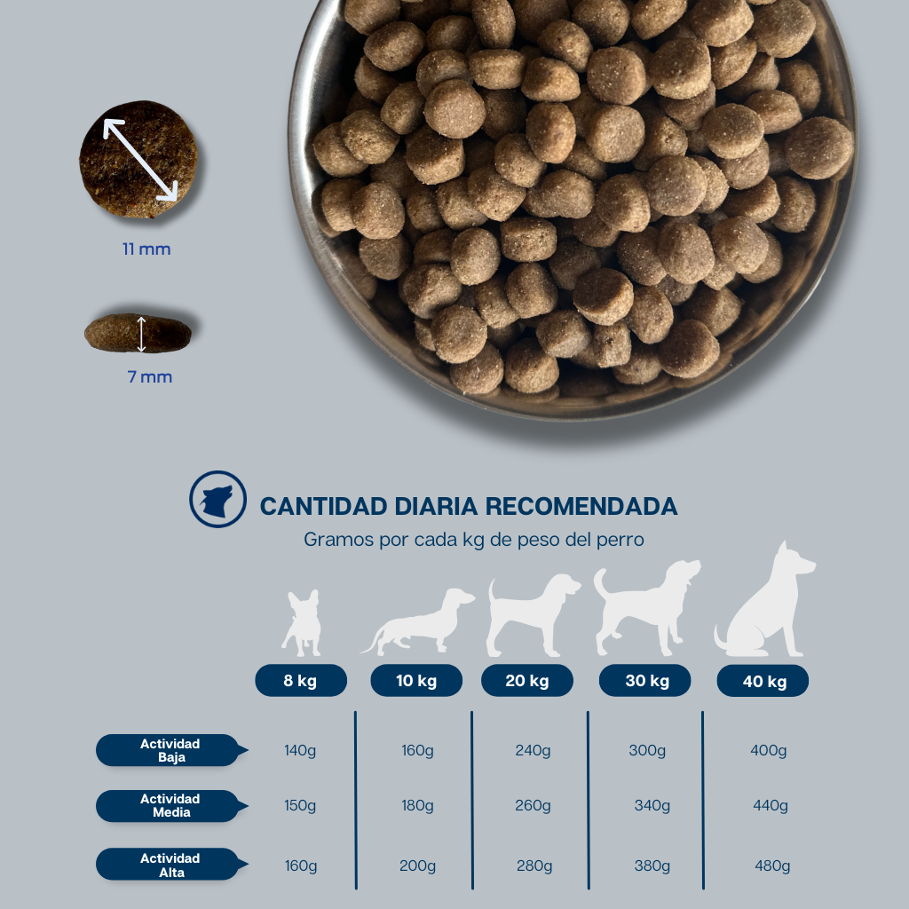 Grain Free Light Salmón