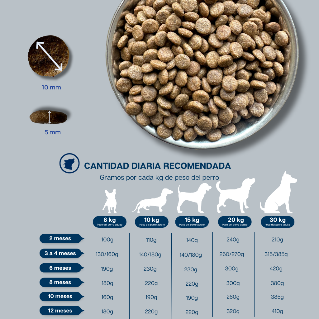 Saumon et dinde pour chiots sans céréales