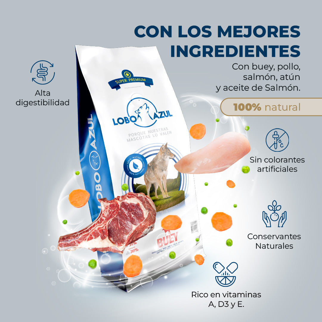 ox