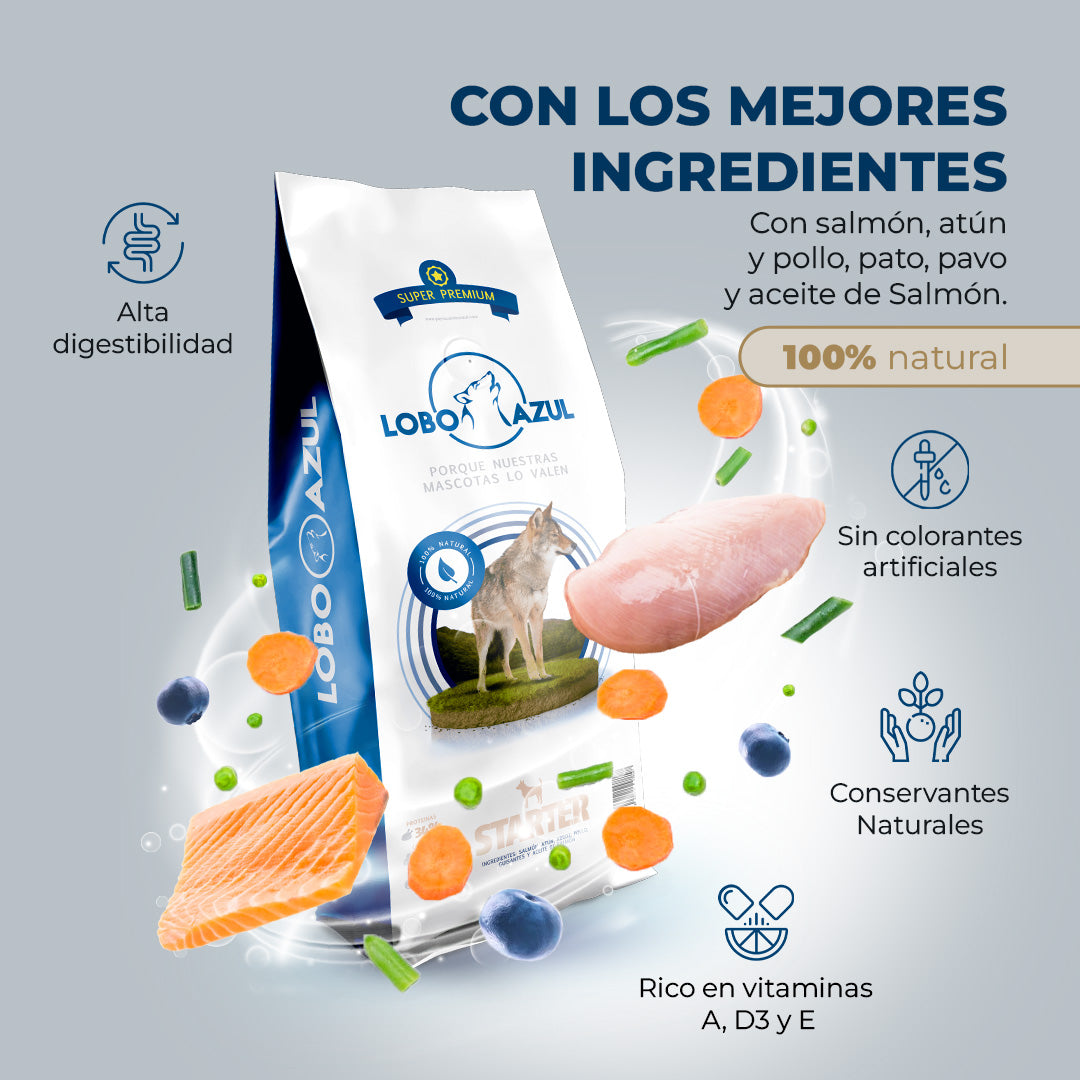 Iniciante