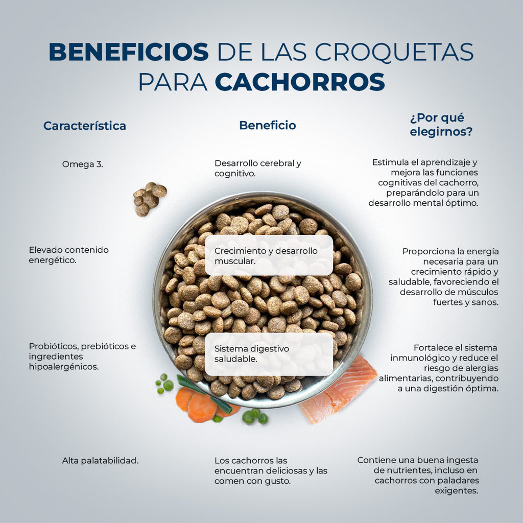 Iniciante