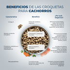 Iniciante
