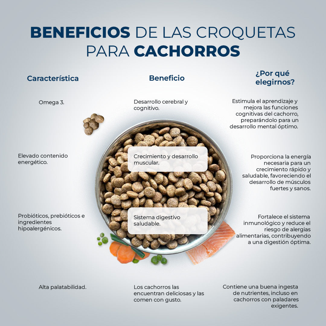 Iniciante