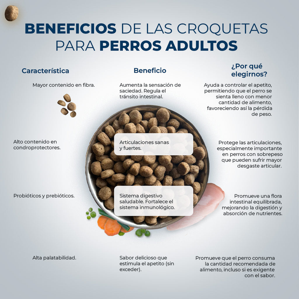 Grain Free Light Salmón