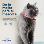 Cat Sterilized