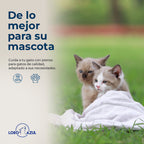 Gatinho