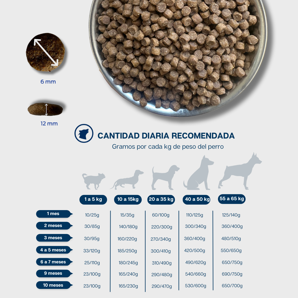 Iniciante