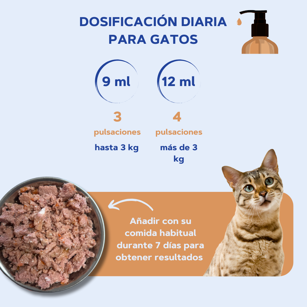 Salmon Oil