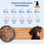 Salmon Oil