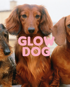 Glow Dog – Champú Vitaminado 2 en 1 para Perros