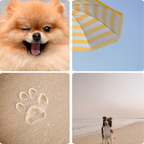 ALOHA DOG – Protector Solar Natural SPF 30 para Perros